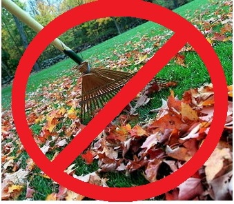 Raking-Leaves.jpg